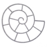 Dr. Gabriele Oestmannn